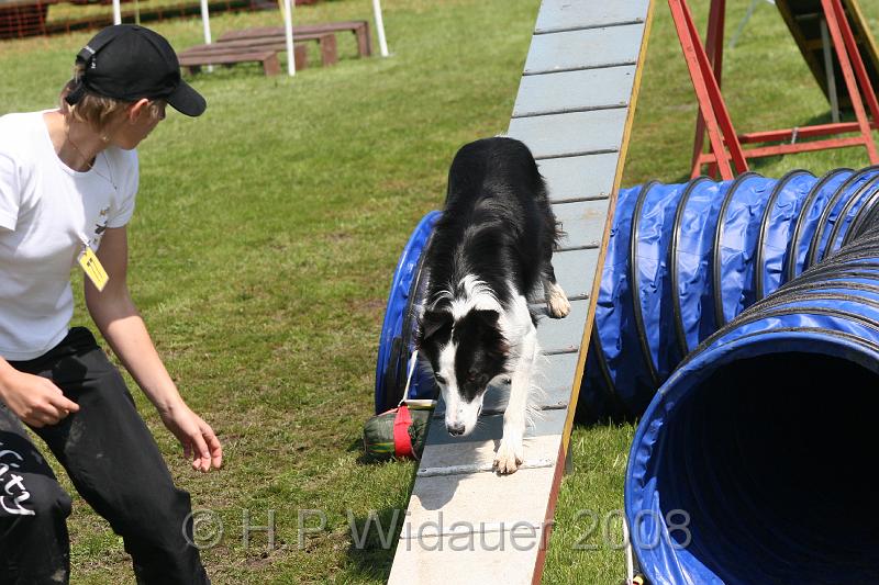 jubil.lusten. 286.jpg